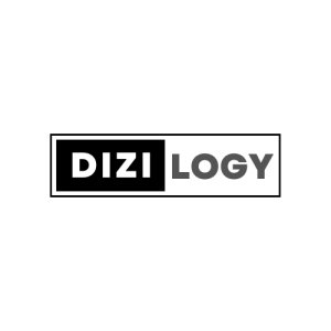 Dizilogy - Best Web Development Training Amritsar